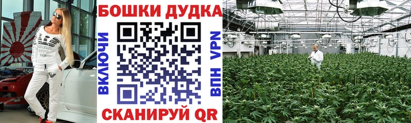 Цена Ухта Cocaine ГАШ